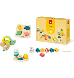 JANOD DEVELOPMENTAL ACTIVITY BOX