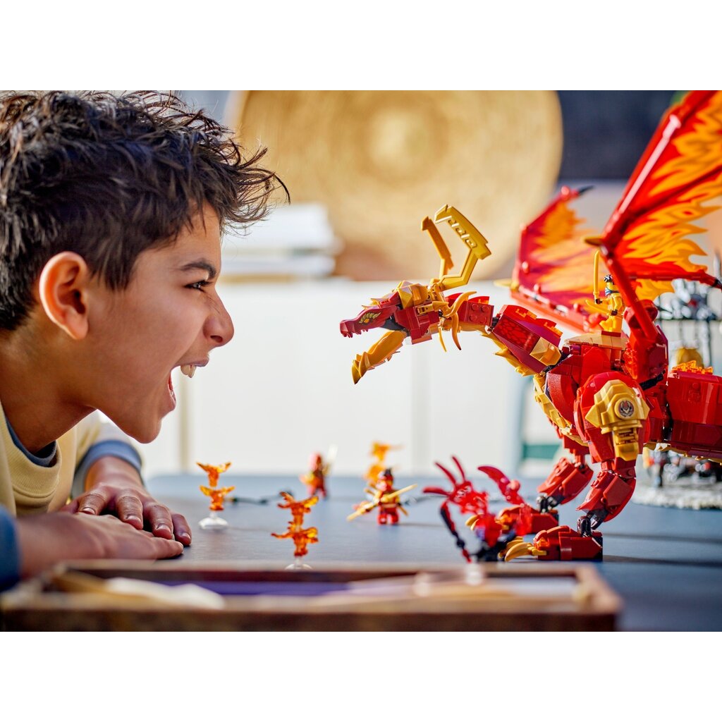 LEGO SOURCE DRAGON OF MOTION