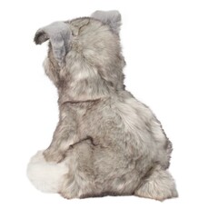 DOUGLAS COMPANY INC ARNOLD SCHNAUZER*