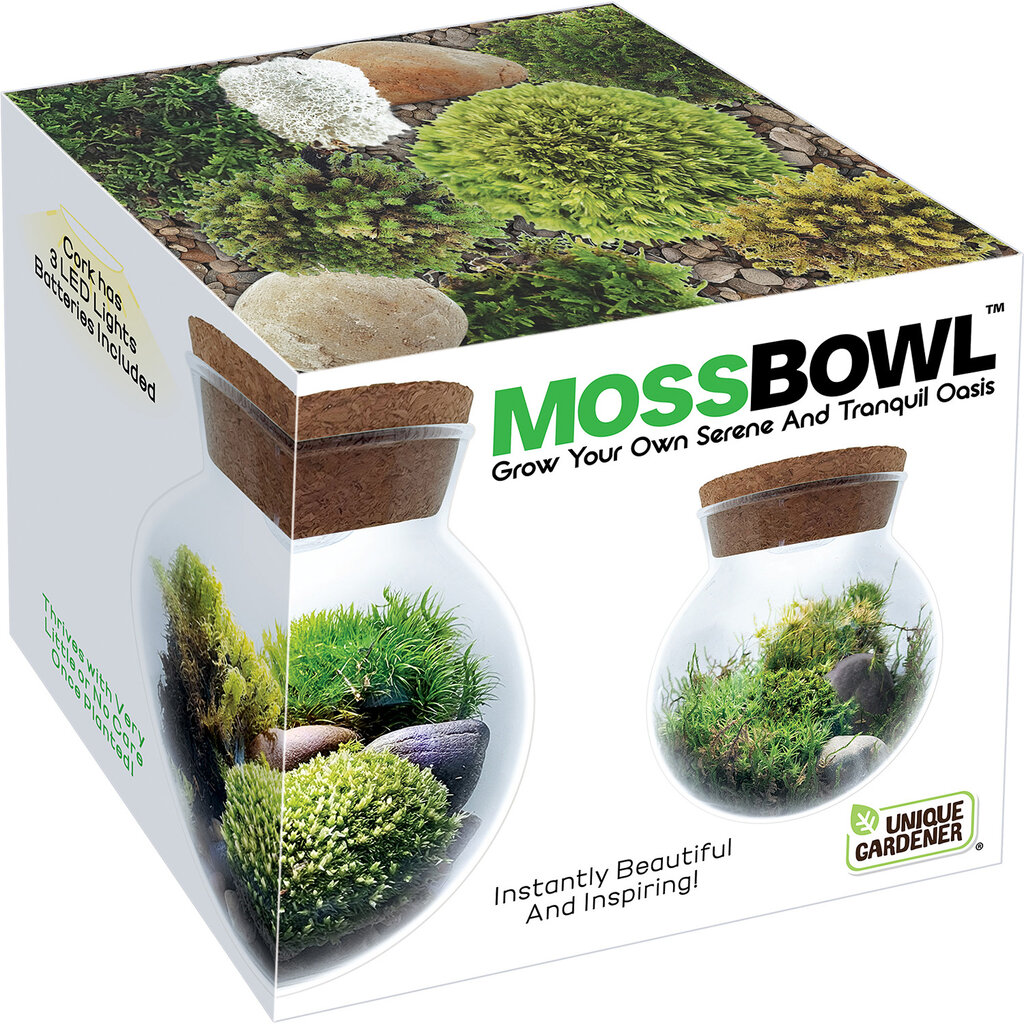 SILVER CIRCLE GROW YOUR OWN MOSS BOWL