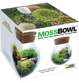 SILVER CIRCLE GROW YOUR OWN MOSS BOWL