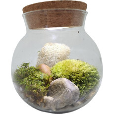 SILVER CIRCLE GROW YOUR OWN MOSS BOWL
