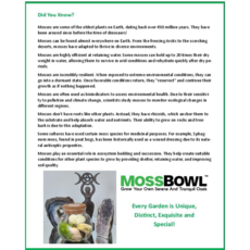 SILVER CIRCLE GROW YOUR OWN MOSS BOWL