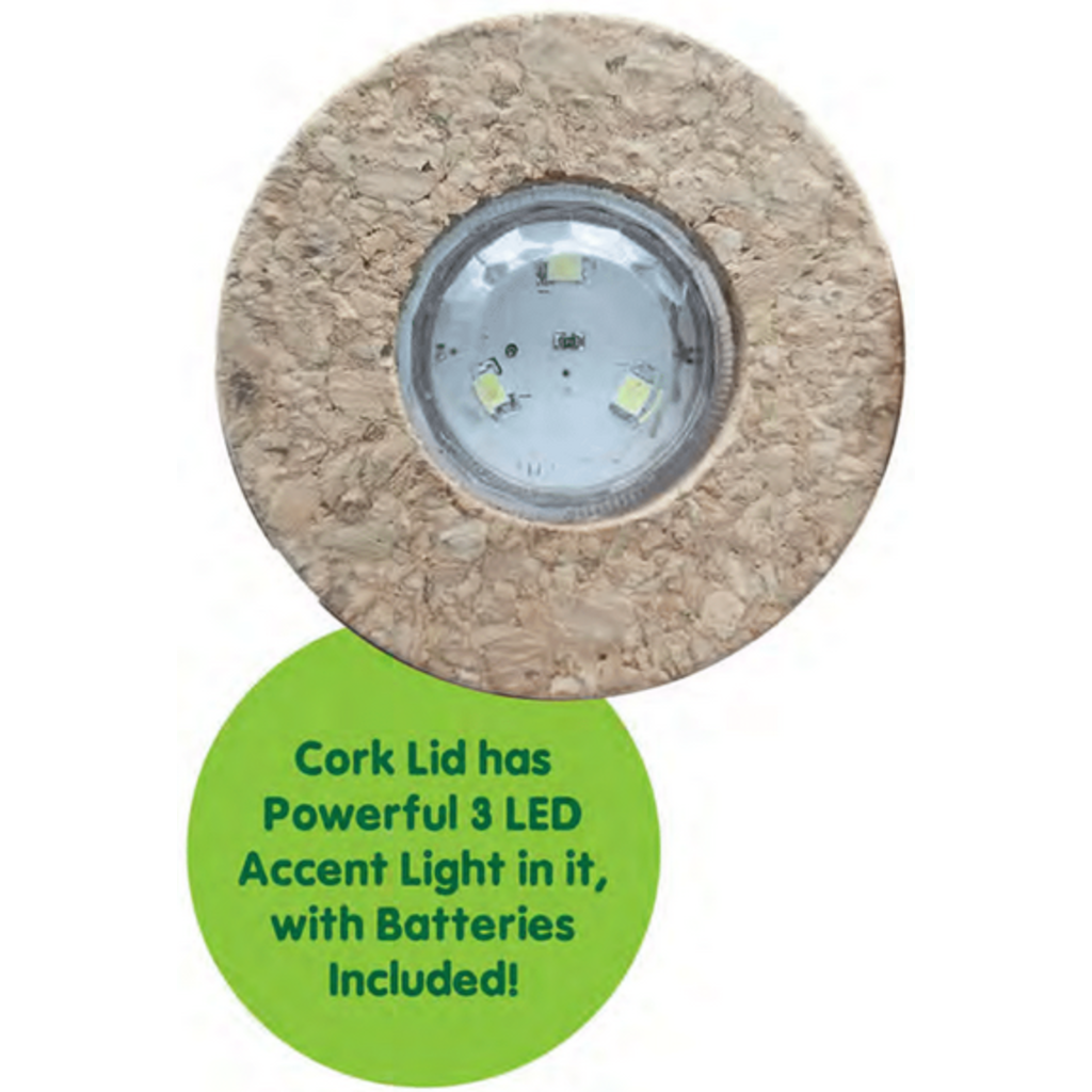SILVER CIRCLE GROW YOUR OWN MOSS BOWL