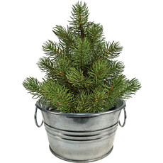 SILVER CIRCLE PERFECT PINE GROW YOUR OWN CHRISTMAS TREE**
