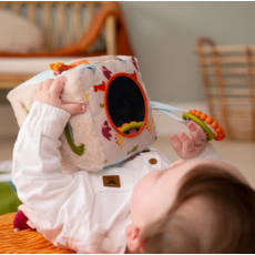 CLOUD B ACTIVITY CUBE DINO