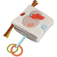 CLOUD B BABYS FIRST DINO ACTIVITY BOOK