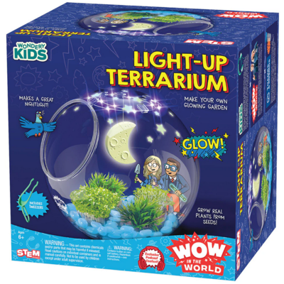 WOW IN THE WORLD WOW IN THE WORLD: LIGHT UP TERRARIUM