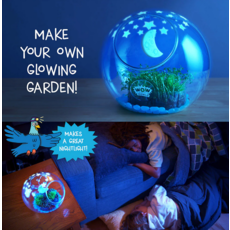 WOW IN THE WORLD WOW IN THE WORLD: LIGHT UP TERRARIUM
