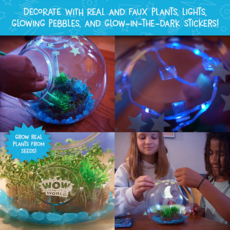 WOW IN THE WORLD WOW IN THE WORLD: LIGHT UP TERRARIUM