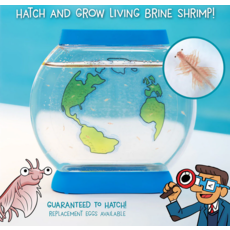 WOW IN THE WORLD WOW IN THE WORLD: SEA CREATURES AQUARIUM