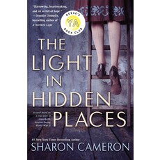 SCHOLASTIC LIGHT IN HIDDEN PLACES PB  CAMERON