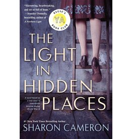 SCHOLASTIC LIGHT IN HIDDEN PLACES PB  CAMERON