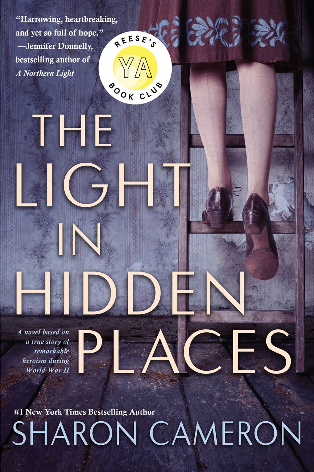 LIGHT IN HIDDEN PLACES PB CAMERON