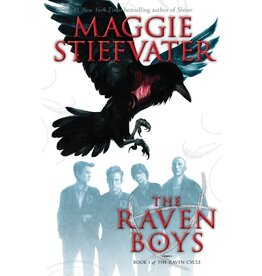 SCHOLASTIC RAVEN CYCLE 1 RAVEN BOYS PB STIEFVATER