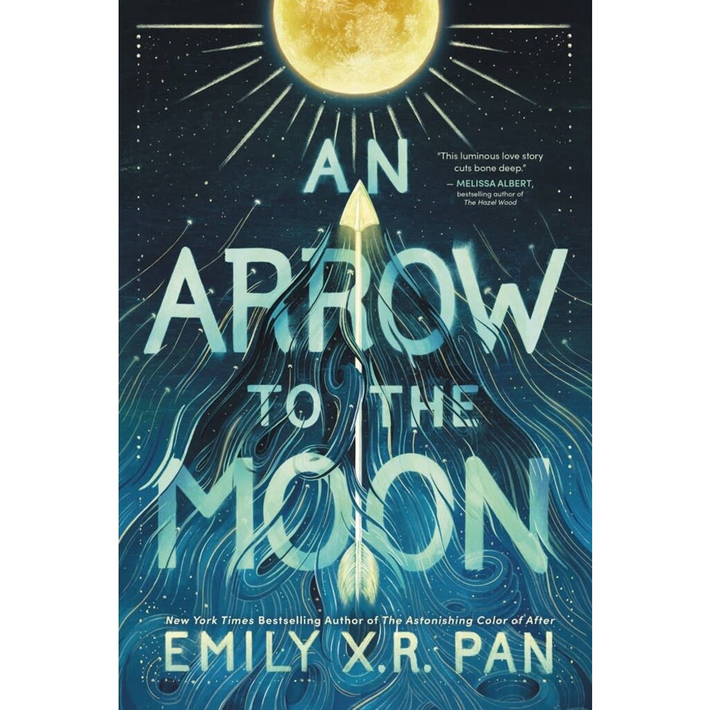 LITTLE BROWN BOOKS AN ARROW TO THE MOON HB PAN