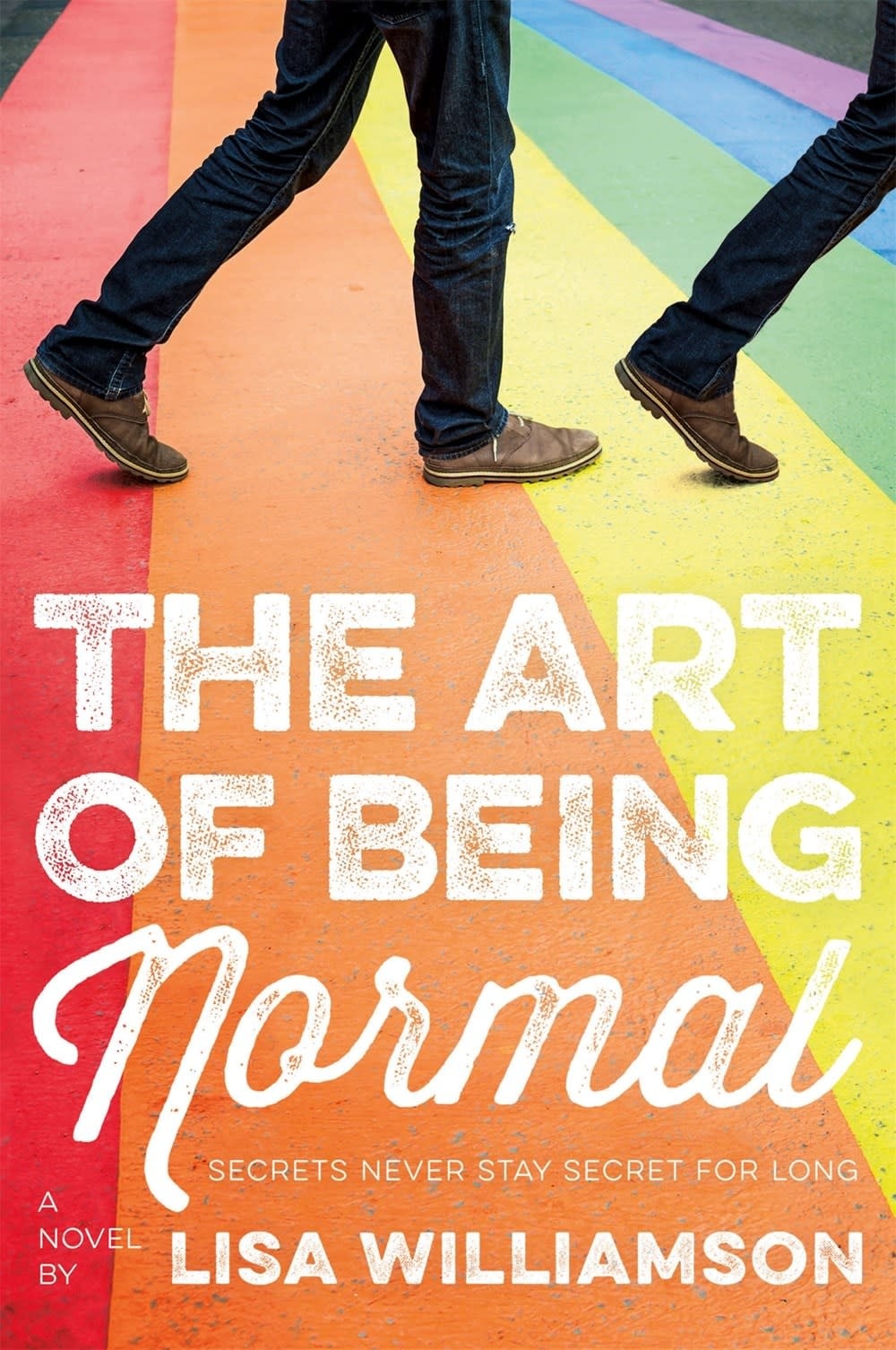 ART OF BEING NORMAL PB WILLIAMSON