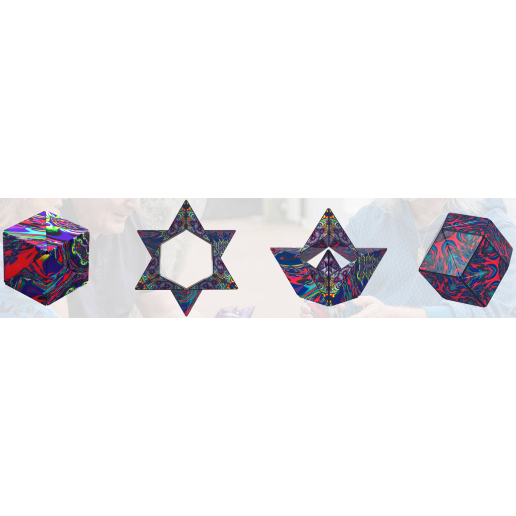 FUN IN MOTION SHASHIBO MAGNETIC PUZZLE CUBE ARTIST SERIES