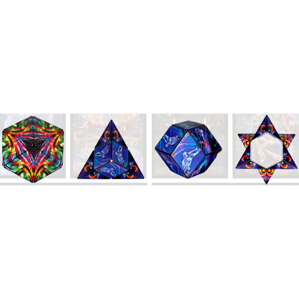 FUN IN MOTION SHASHIBO MAGNETIC PUZZLE CUBE ARTIST SERIES