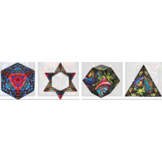 FUN IN MOTION SHASHIBO MAGNETIC PUZZLE CUBE ARTIST SERIES