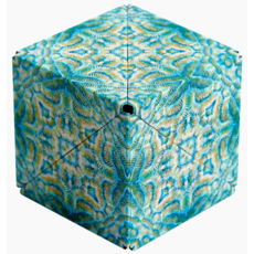 FUN IN MOTION SHASHIBO MAGNETIC PUZZLE CUBE EXPLORER SERIES