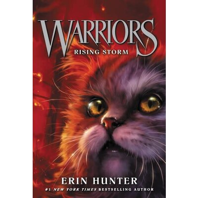 HARPERCOLLINS PUBLISHING WARRIORS 4 RISING STORM PB HUNTER