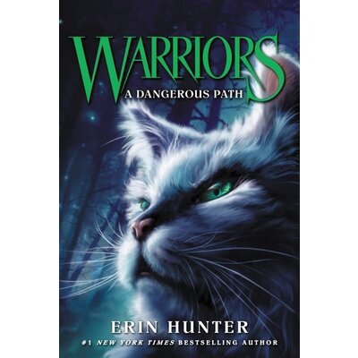 HARPERCOLLINS PUBLISHING WARRIORS 5 DANGEROUS PATH PB HUNTER