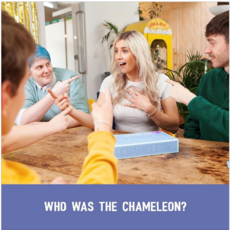 CEACO/ BRAINWRIGHT/ GAMEWRIGHT THE CHAMELEON: PICTURE EDITION*