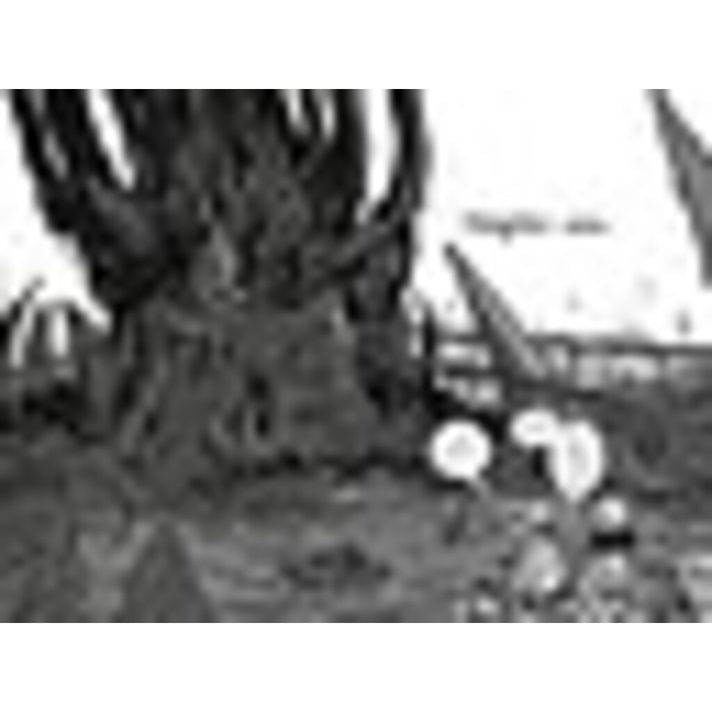 VIKING BOOKS LAST KIDS ON EARTH 8 FORBIDDEN FORTRESS HB BRALLIER