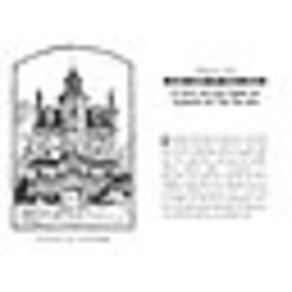SIMON AND SCHUSTER SPIDERWICK CHRONICLES 1 FIELD GUIDE PB DITERLIZZI
