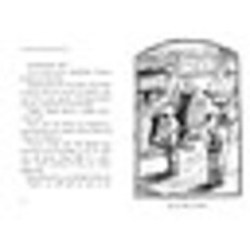 SIMON AND SCHUSTER SPIDERWICK CHRONICLES 1 FIELD GUIDE PB DITERLIZZI