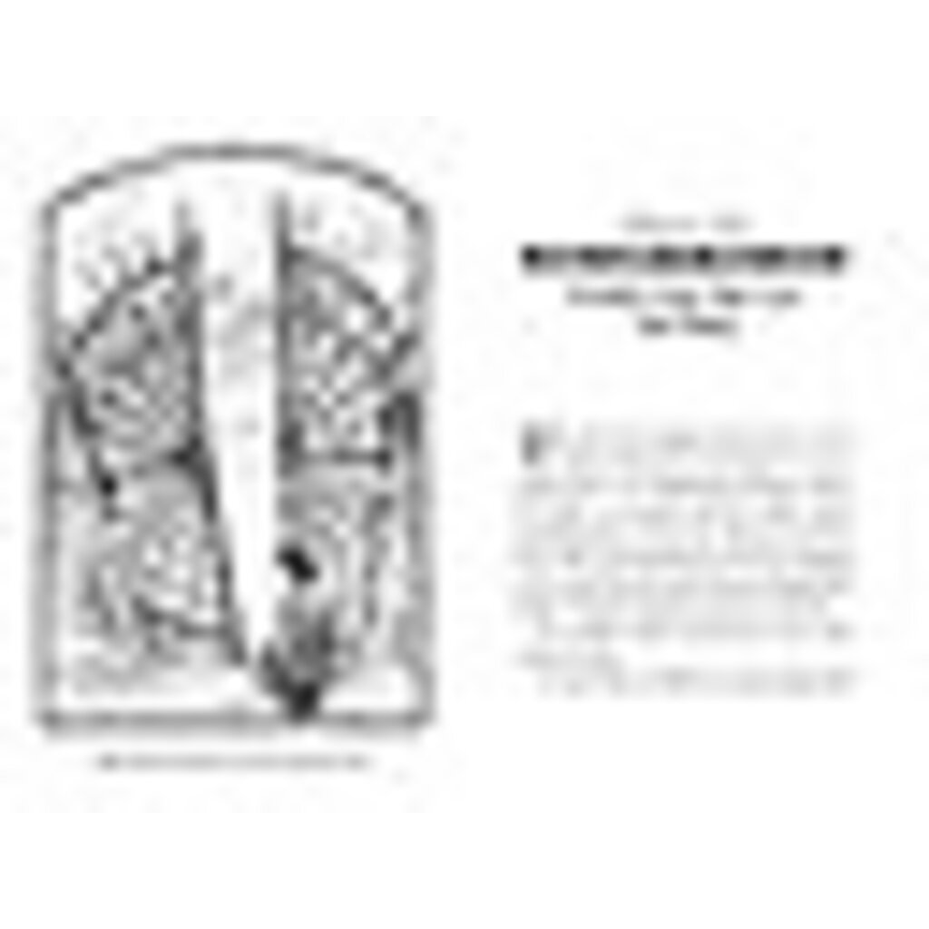 SIMON AND SCHUSTER SPIDERWICK CHRONICLES 2 SEEING STONE PB DITERLIZZI