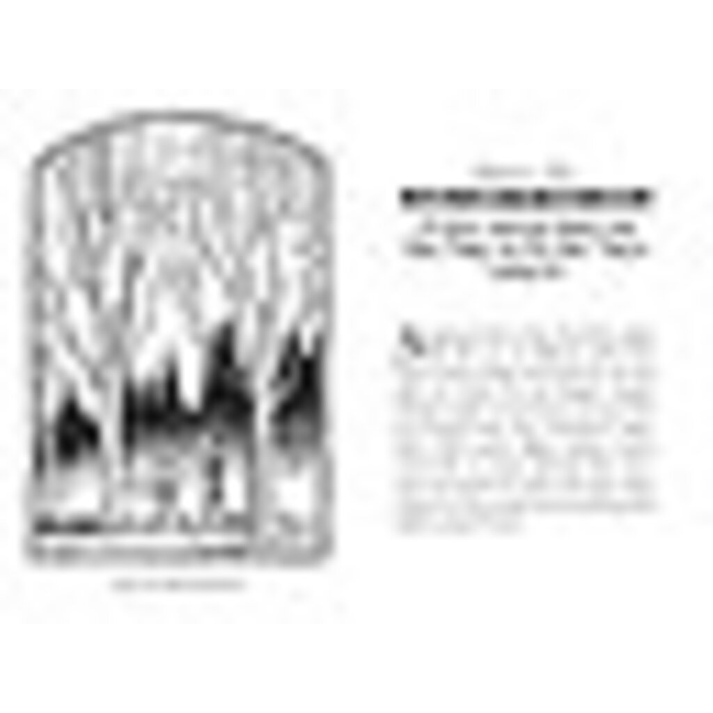 SIMON AND SCHUSTER SPIDERWICK CHRONICLES 2 SEEING STONE PB DITERLIZZI