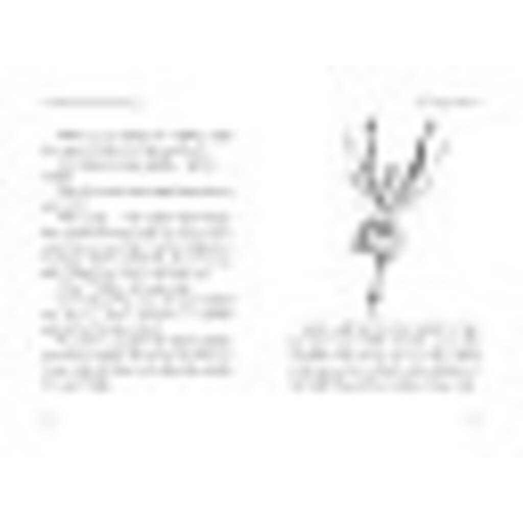 SIMON AND SCHUSTER SPIDERWICK CHRONICLES 2 SEEING STONE PB DITERLIZZI