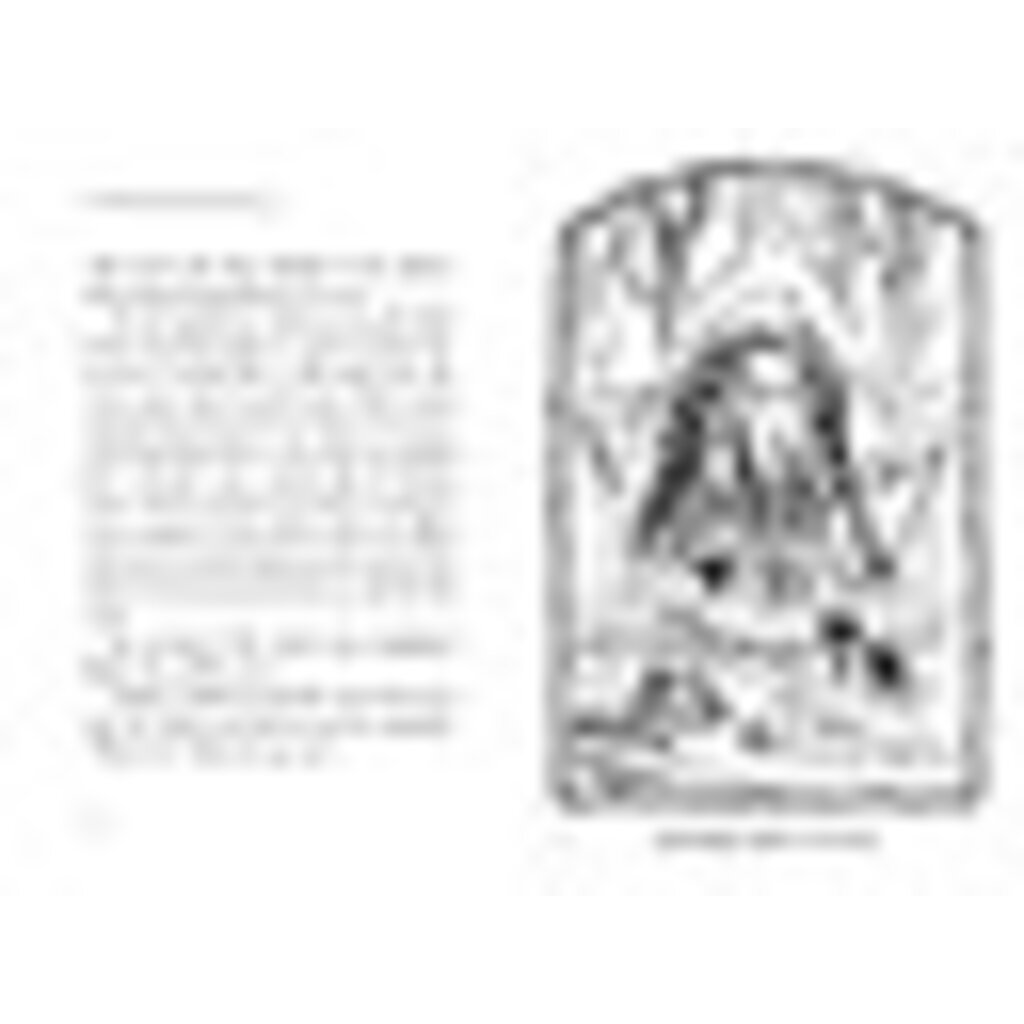 SIMON AND SCHUSTER SPIDERWICK CHRONICLES 2 SEEING STONE PB DITERLIZZI
