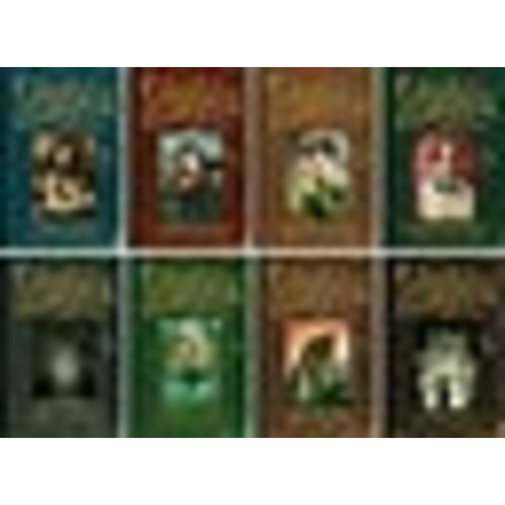 SIMON AND SCHUSTER SPIDERWICK CHRONICLES 2 SEEING STONE PB DITERLIZZI