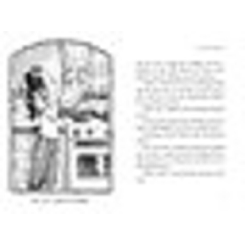 SIMON AND SCHUSTER SPIDERWICK CHRONICLES 3 LUCINDA'S SECRET PB DITERLIZZI