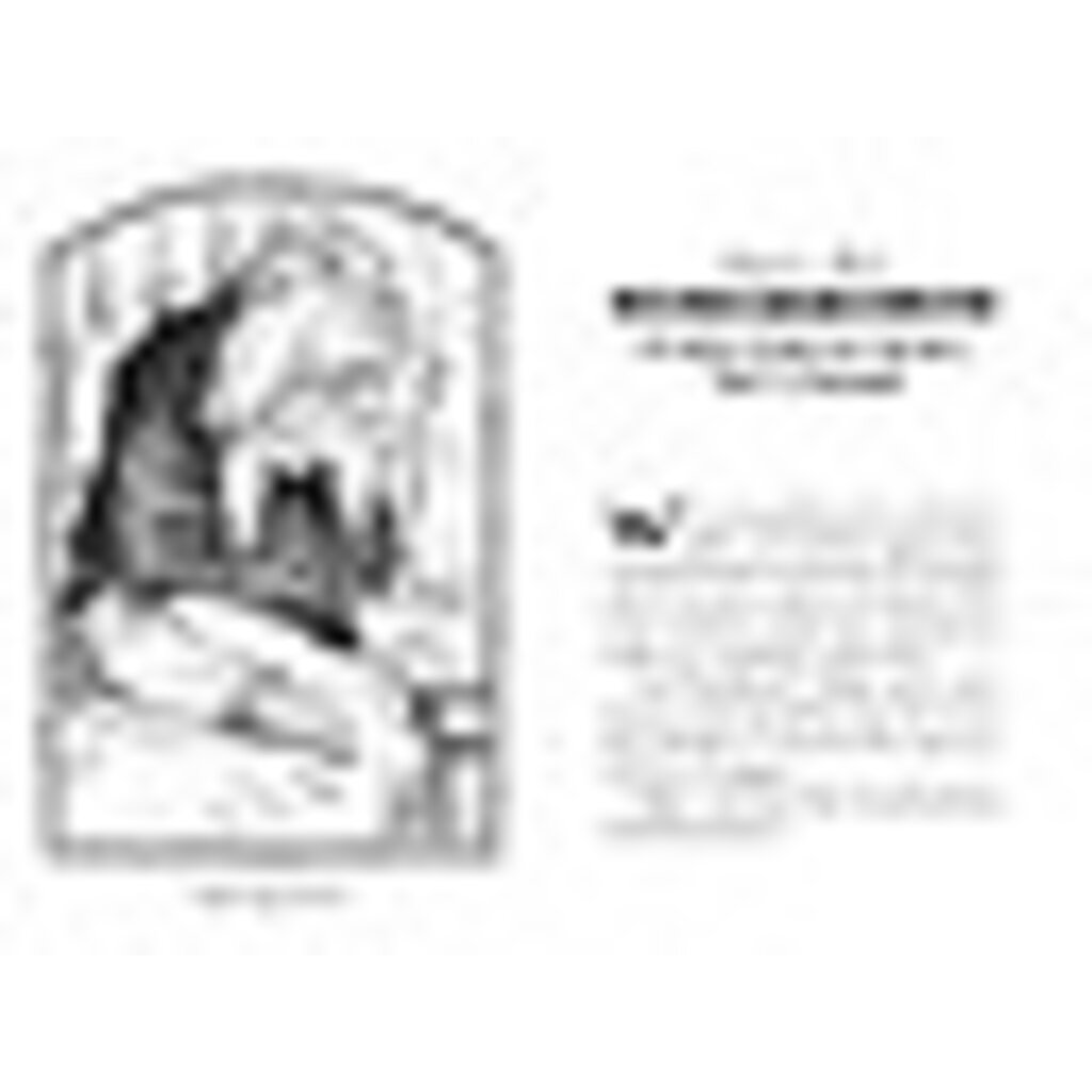 SIMON AND SCHUSTER SPIDERWICK CHRONICLES 3 LUCINDA'S SECRET PB DITERLIZZI