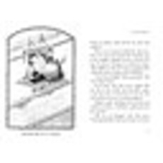 SIMON AND SCHUSTER SPIDERWICK CHRONICLES 3 LUCINDA'S SECRET PB DITERLIZZI