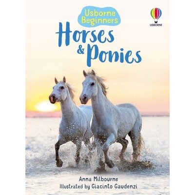 USBORNE HORSES AND PONIES