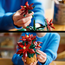 LEGO POINSETTIA