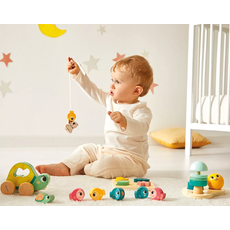 JANOD DEVELOPMENTAL ACTIVITY BOX