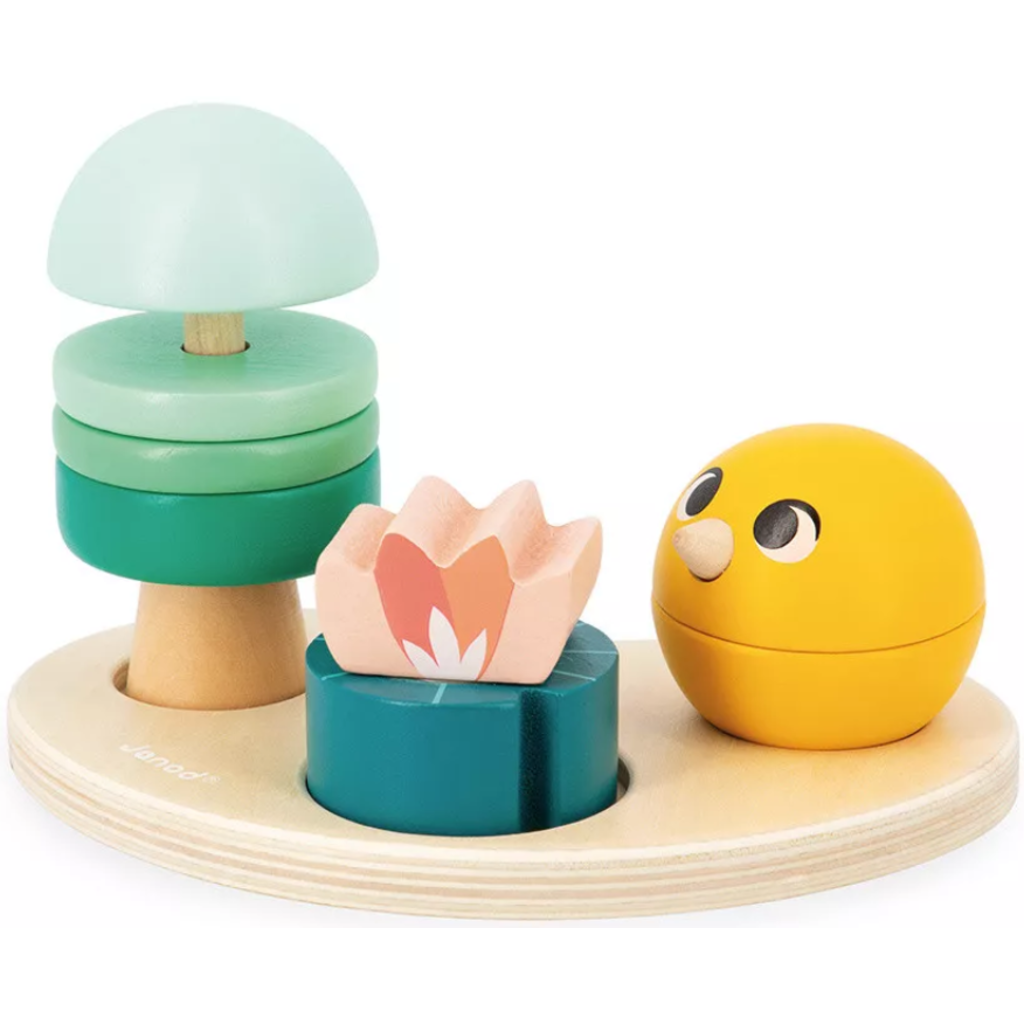 JANOD DEVELOPMENTAL ACTIVITY BOX