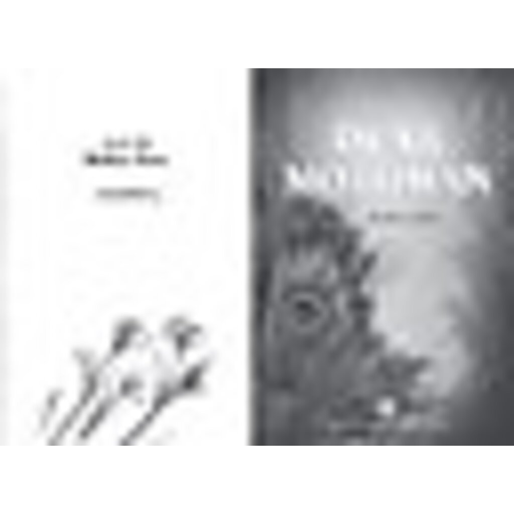 AMULET BOOKS DEAR MOTHMAN PB GOW