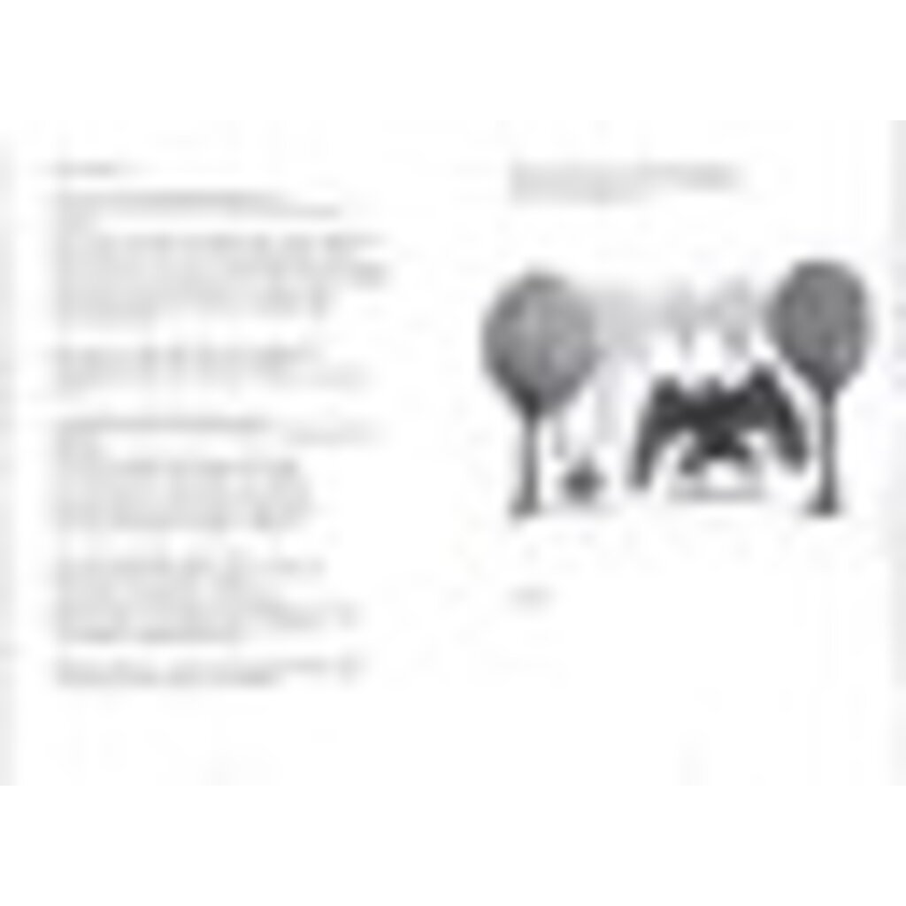 AMULET BOOKS DEAR MOTHMAN PB GOW