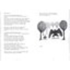 AMULET BOOKS DEAR MOTHMAN PB GOW