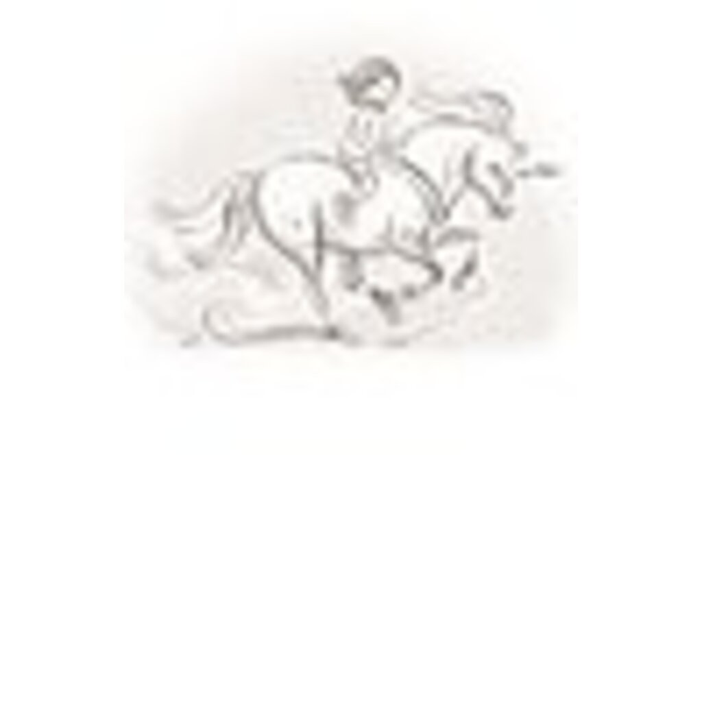 UNICORN PRINCESSES 2 FLASH'S DASH PB BLISS