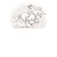 UNICORN PRINCESSES 2 FLASH'S DASH PB BLISS