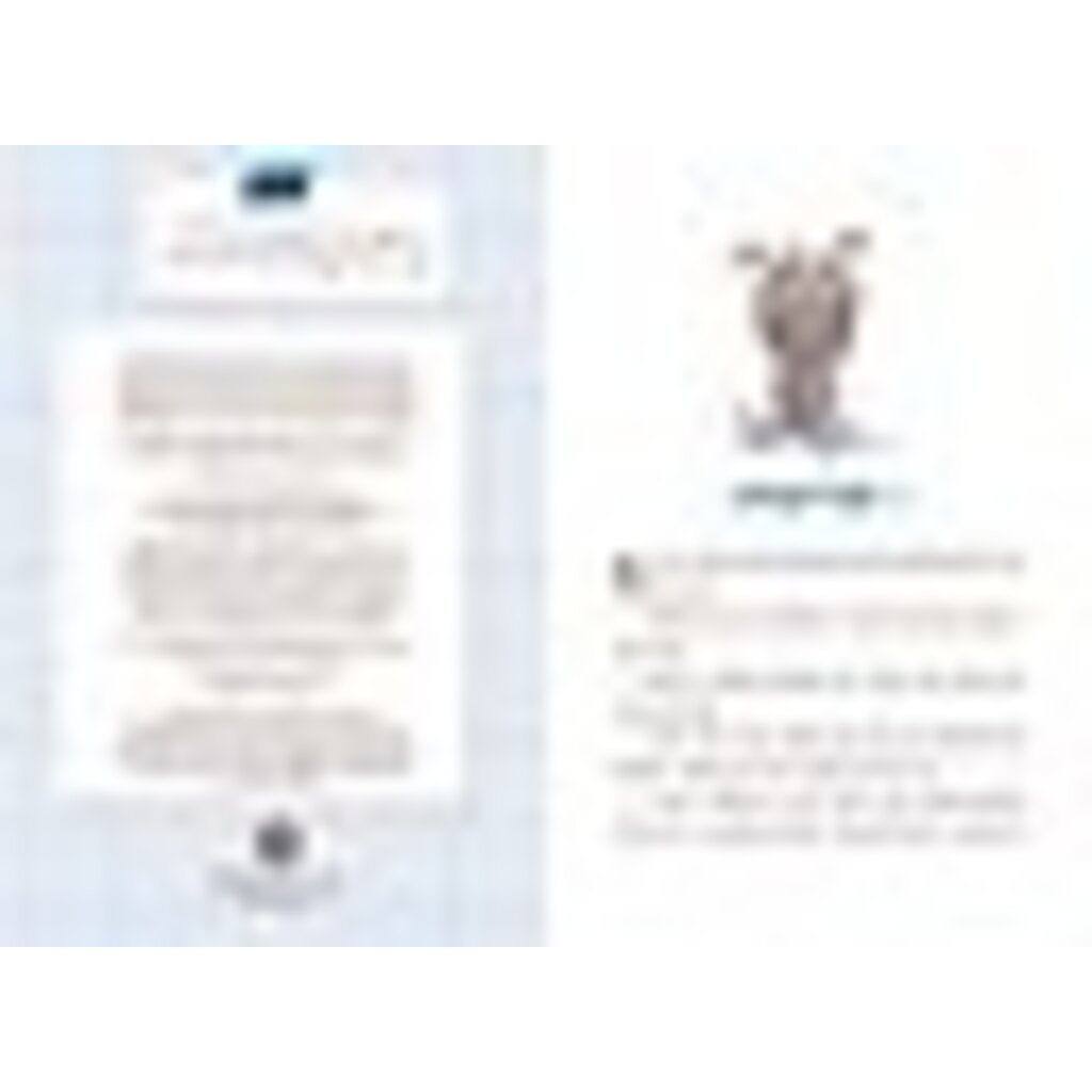 QUESTIONEERS 4 SOFIA VALDEZ AND THE VANISHING VOTE HB BEATY