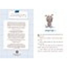 QUESTIONEERS 4 SOFIA VALDEZ AND THE VANISHING VOTE HB BEATY